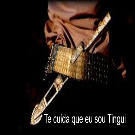 CANTAR MISSIONEIRO cover art