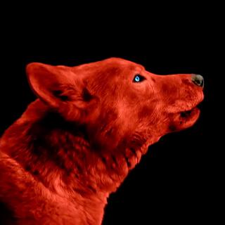 Rush instrumental cover art
