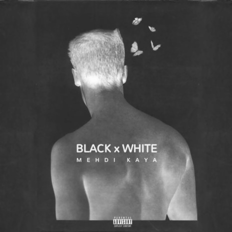 Black x White