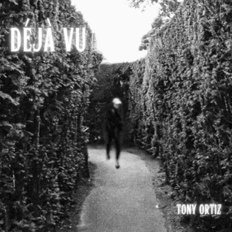 Deja Vu cover art