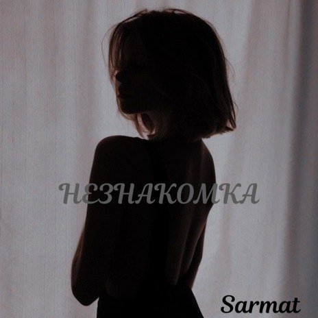 Незнакомка cover art