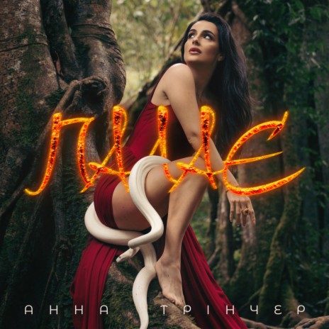 Палає cover art