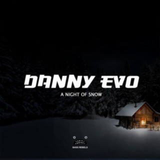 A Night Of Snow (Original Mix) cover art
