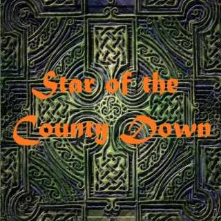 Star of the County Down cover art
