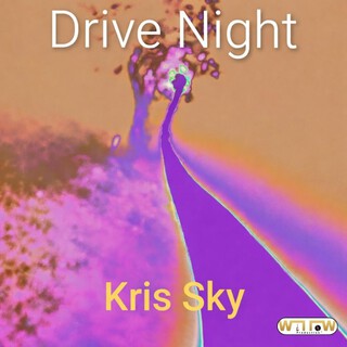 Drive Night