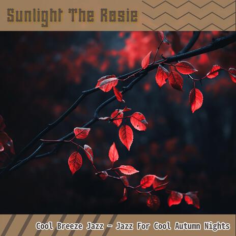 Jazzing the Starlit Night cover art