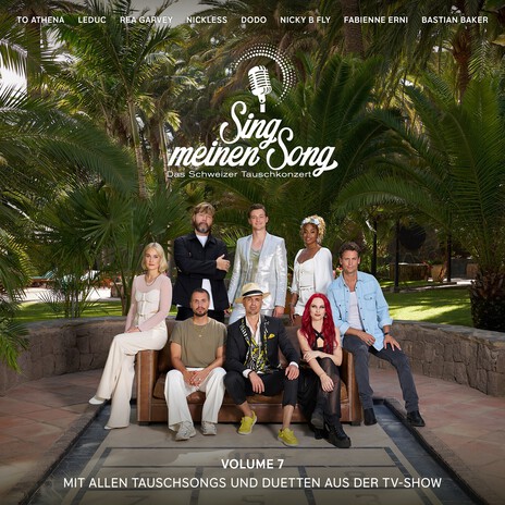 All die Büecher (Aus "Sing Meinen Song, Vol. 7") cover art