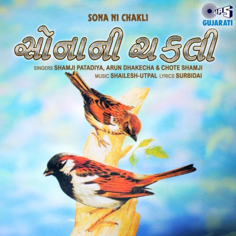 Peedu Pakya Ne Aana Aavya Re ft. Arun Dhakecha & Chote Shamji