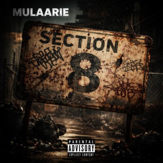 Section 8