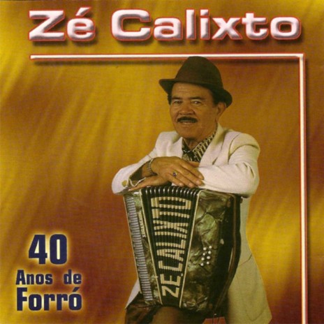 Zé Calixto, 40 Anos de Forró cover art