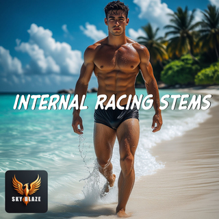 Internal Racing Stems cover art