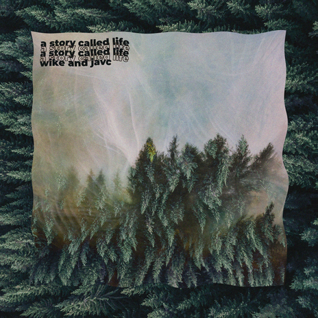 Desire cover art