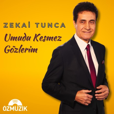 Umudu Kesmez Gözlerim (Teselli Kar Etmez) cover art