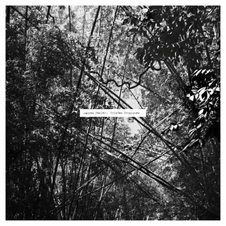 Humidity Index / Khao Sok (Chopped and Screwed) cover art