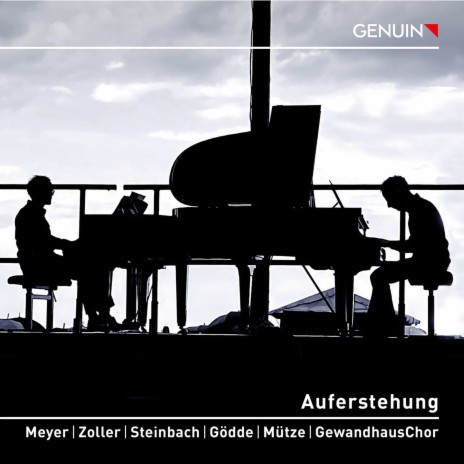 Sinfonie Nr. 2 c-moll: Finale. Wild herausfahrend ft. Walter Zoller, Annika Steinbach, Henriette Gödde, Emanuel Mütze & GewandhausChor