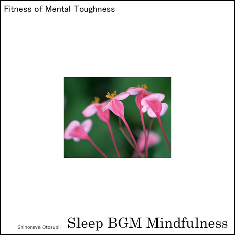Soothing the Spirit with Harmonious Melodies cover art