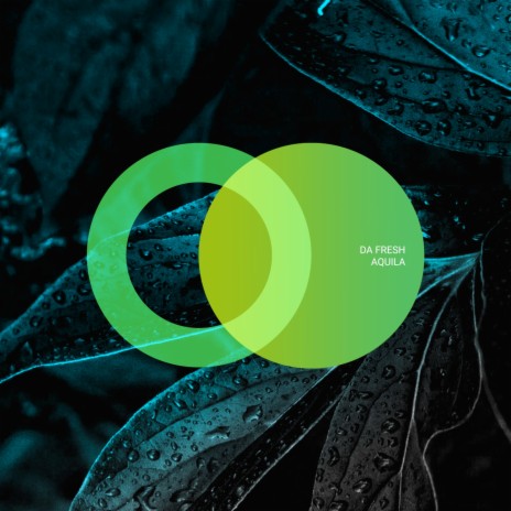 Meditation (Original Mix) cover art