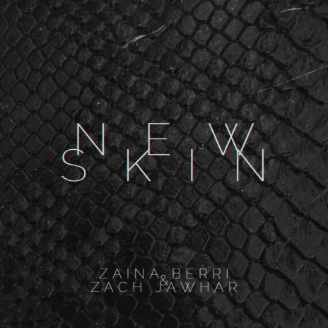 New Skin ft. Zach Jawhar cover art