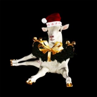 Fa La La La La cover art