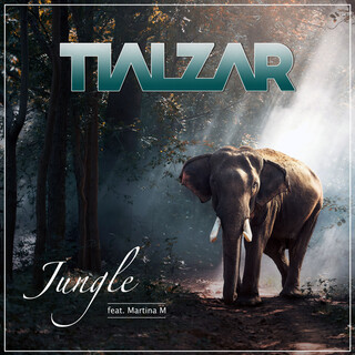 Jungle ft. Martina M cover art