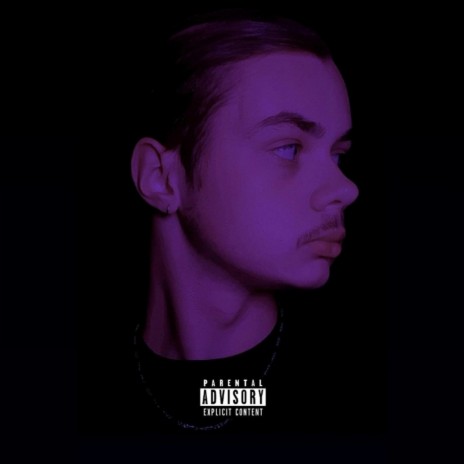 Dans mes veines cover art