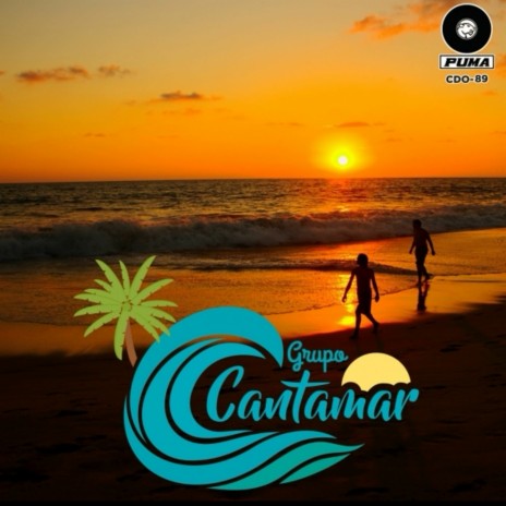 Como Tu Ninguna cover art