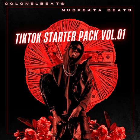 Reverse ft. NUSPEKTA BEATS cover art
