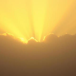 מִתְחַבְּקִים לָחַיִּים cover art
