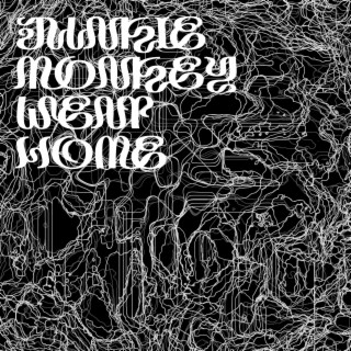 Junkie monkey went home