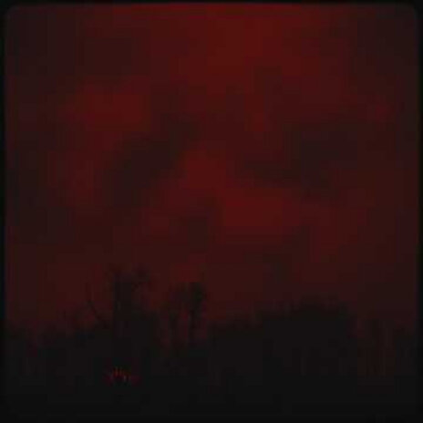 Fire Storm cover art