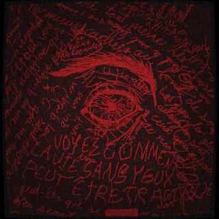Jours d'une vie 2 cover art