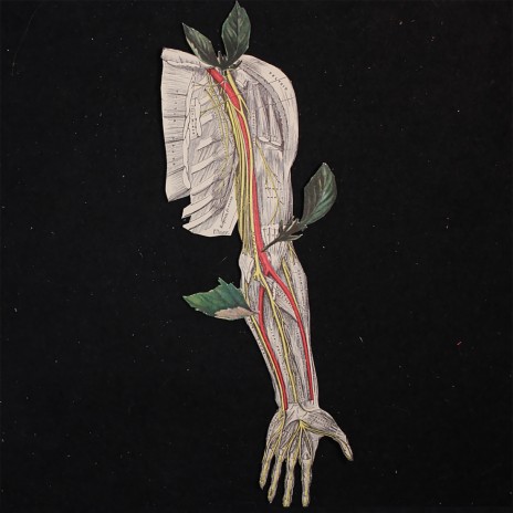 Give Yourself Some Flowers (Electro) ft. tape loop