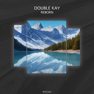 Reborn cover art
