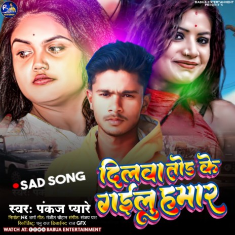 Dilwa Tod Ke Gailu Hamar cover art