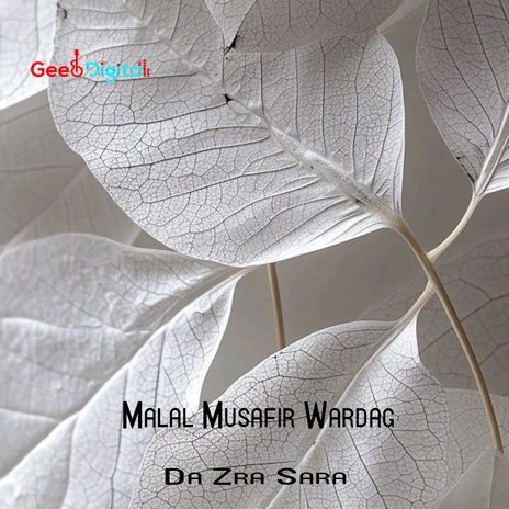 Pa Zulam Sitam cover art
