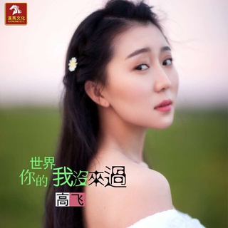 你的世界我没有来过 cover art