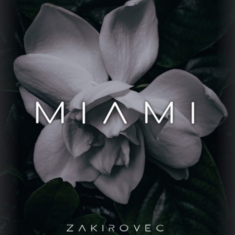 Miami cover art