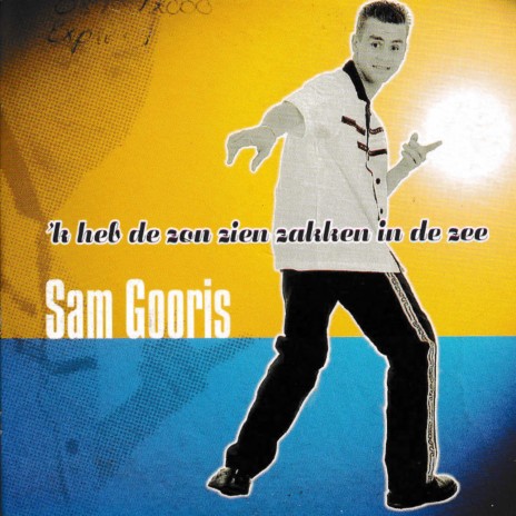 'k Heb De Zon Zien Zakken In De Zee (Radio) cover art