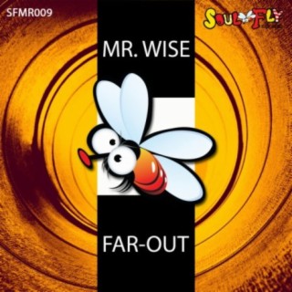 Far-Out (Original Mix) cover art