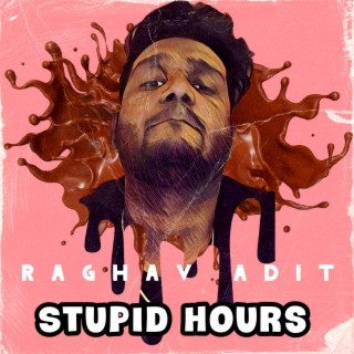 Stupid Hours cover art