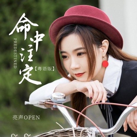 命中注定 (粤语版伴奏) cover art