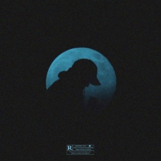 445e Nuit cover art