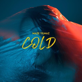 Maze Yilmaz