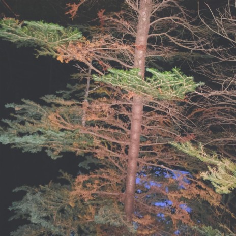 Tucson cover art