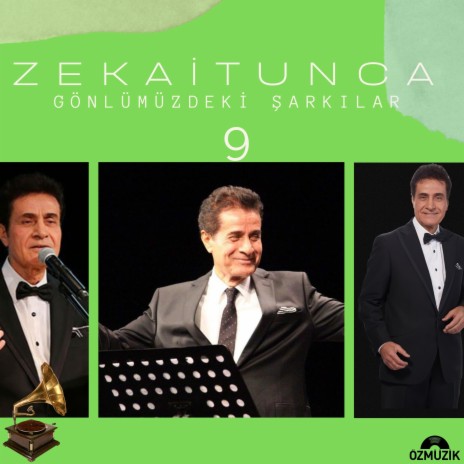 Yemenimin Uçları (Segah) cover art