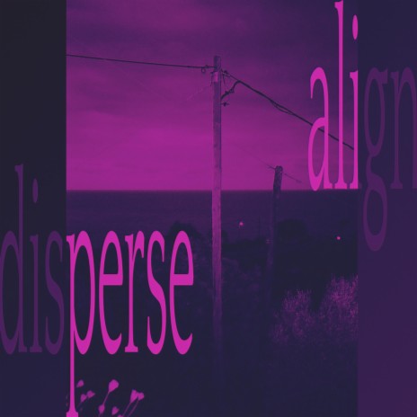 ALIGN / DISPERSE cover art