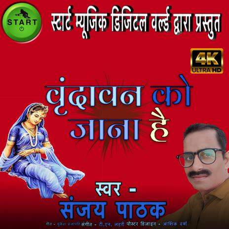 Vrindavan Ko Jana Hain (feat. Mukesh Prajapati) cover art