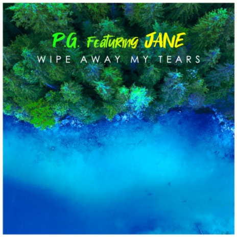 Wipe Away My Tears (Sped Up) ft. Jane cover art