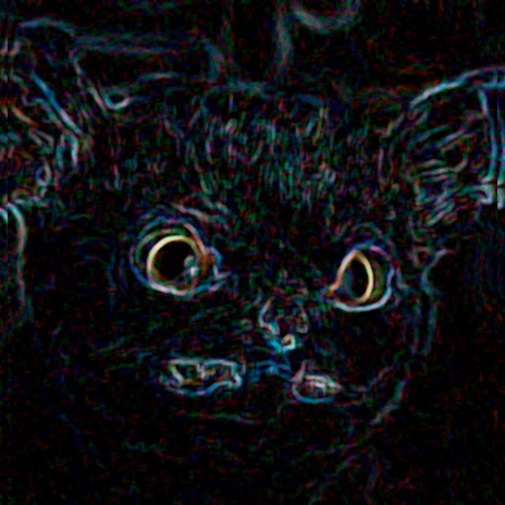 Animal Recycle cover art