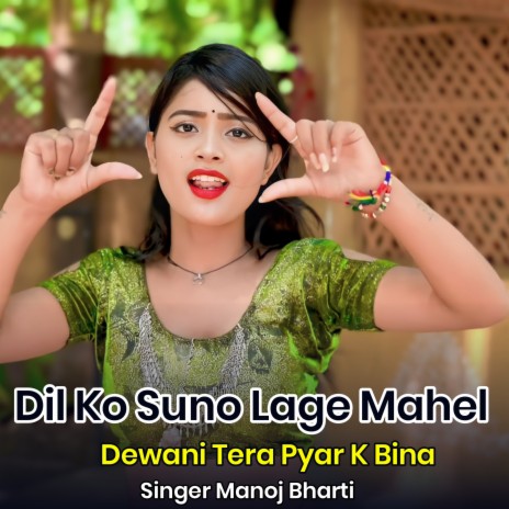 Dil Ko Suno Lage Mahel Dewani Tera Pyar K Bina cover art